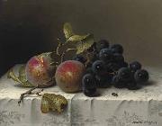 Johann Wilhelm Preyer Prunes and grapes on a damast tablecloth Germany oil painting artist
